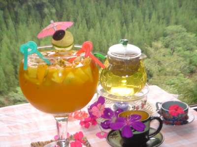 南庄知泉渡假山莊的花草水果茶